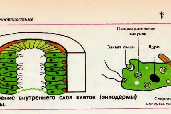 Ссылка на сайт мега