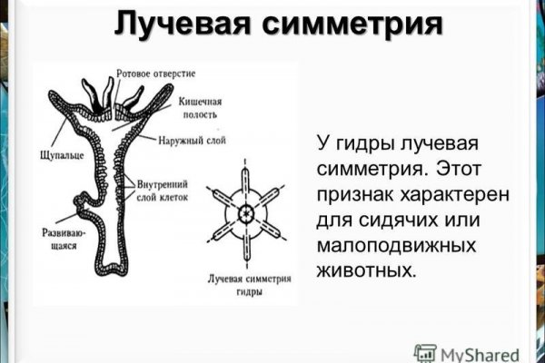 Мега ссылка на зеркало